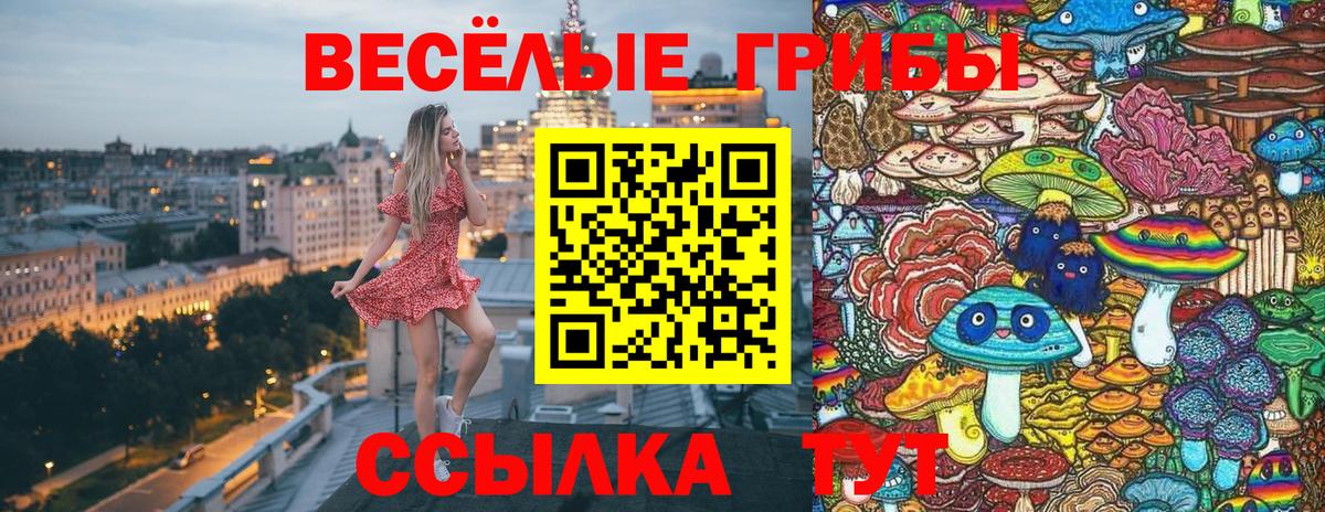 Галлюциногенные грибы Psilocybine cubensis Ликино-Дулёво