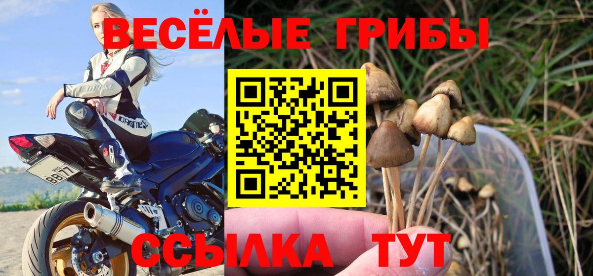 Галлюциногенные грибы ЛСД  Галлюциногенные грибы GOLDEN TEACHER  Ликино-Дулёво  Вход с VPN 